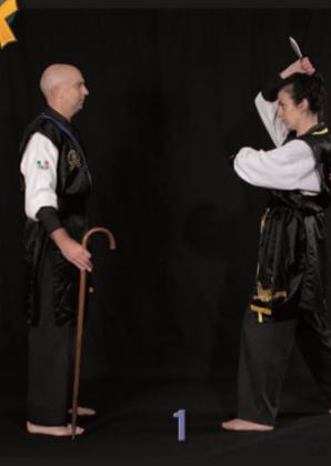 Chief Instructor Marco Mattuicci February 2016 Budo International