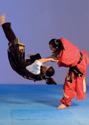 Hwa Rang Do Grandmaster Taejoon Lee October 2019 Budo International